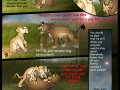 Taka_Comic_19_part_3_by_Savu0211.jpg